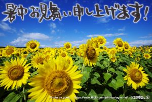 商売繁盛に効く、暑中見舞い2016年版テンプレート(ひな型)全面写真バージョン